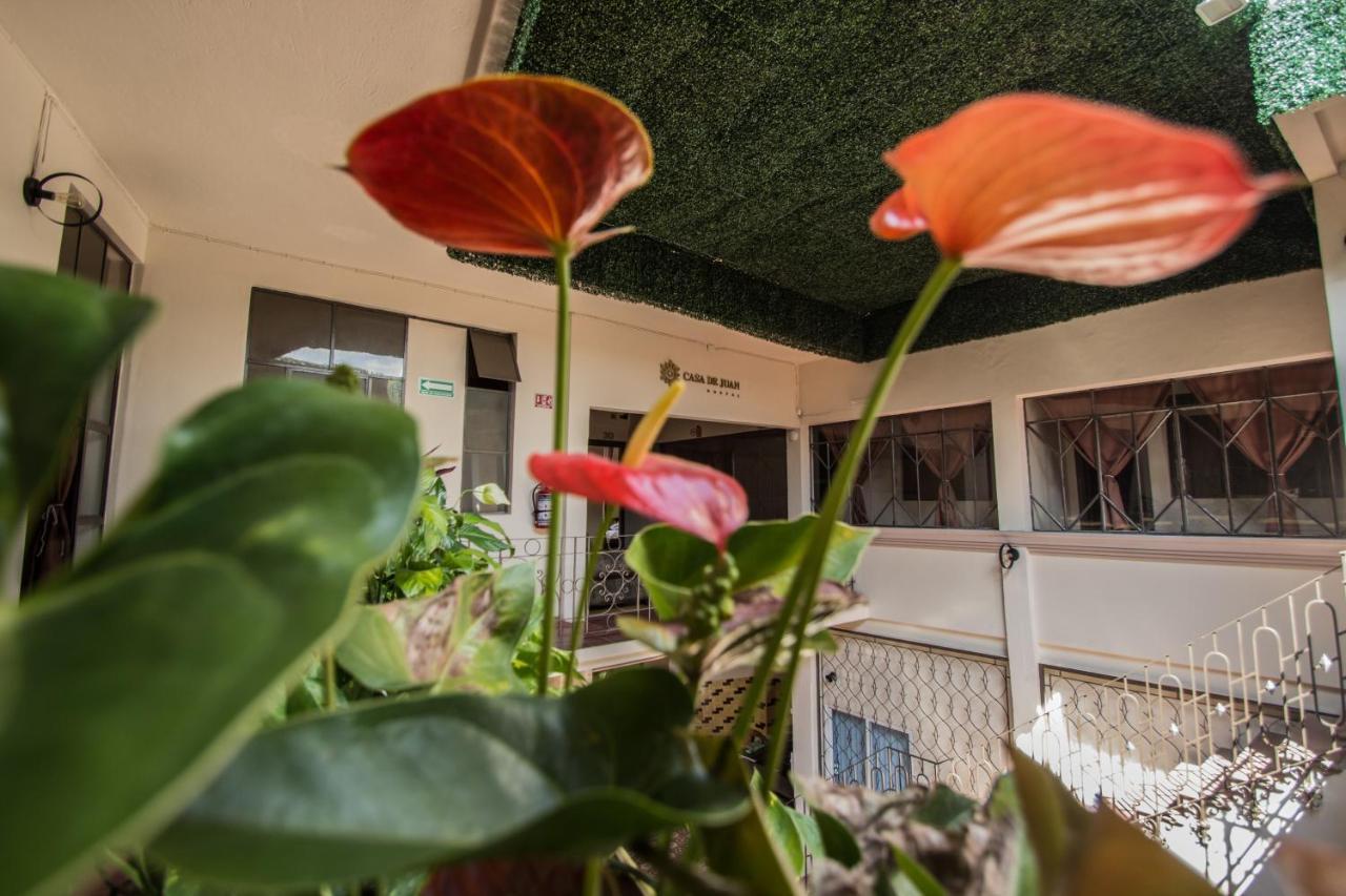 Casa De Juan Hostal Xalapa Eksteriør billede
